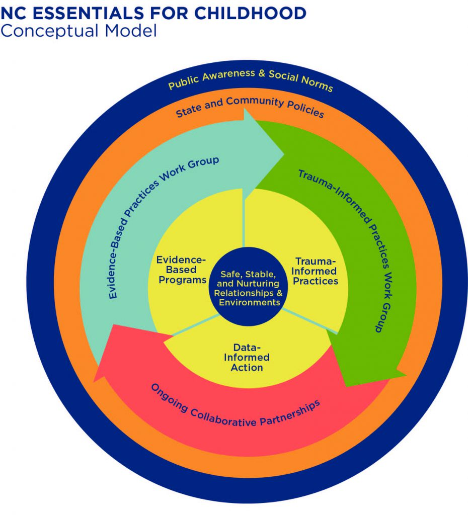 Essentials For Childhood: Lessons From A Backbone Organization - Nciom