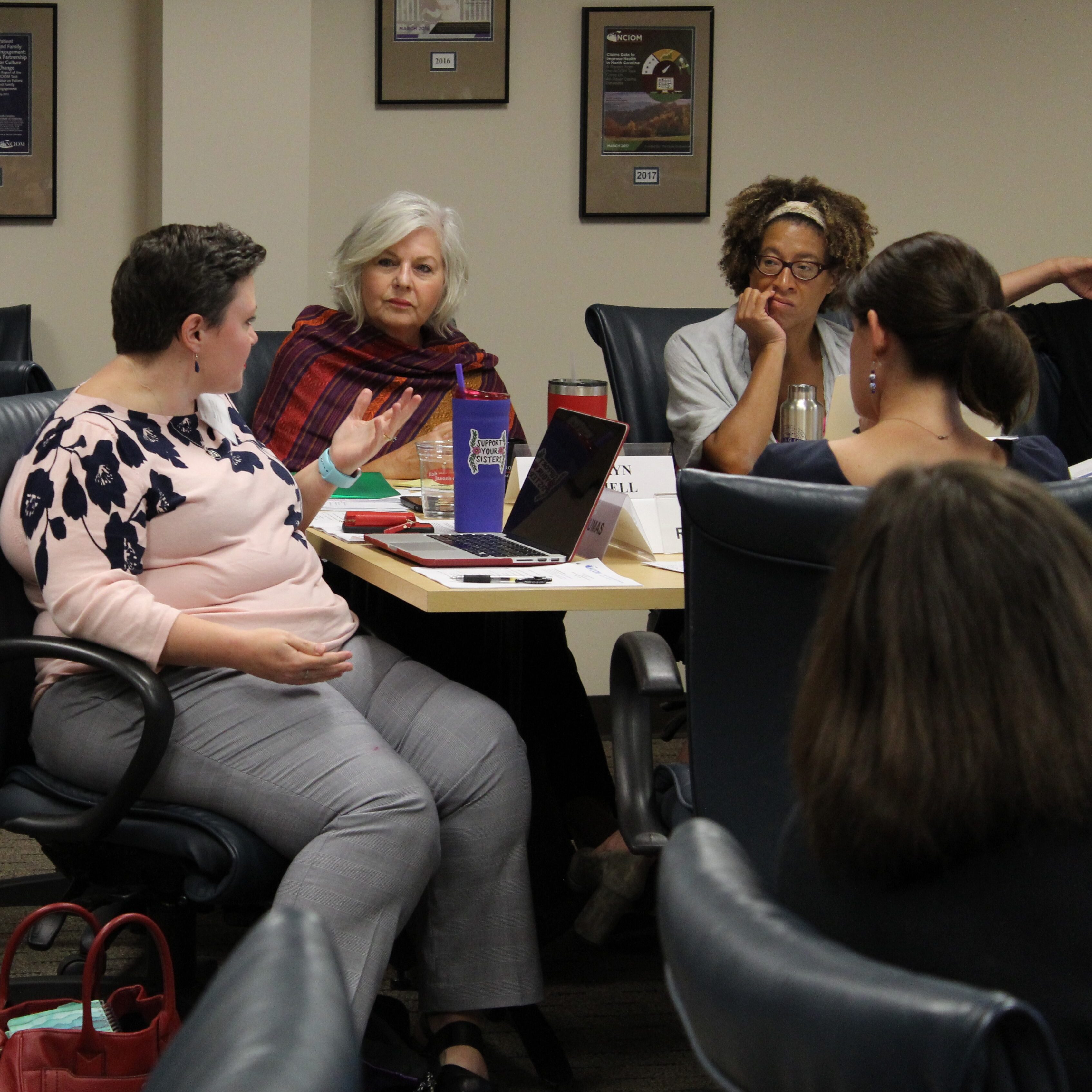 members of the perinatal task force having a discussion